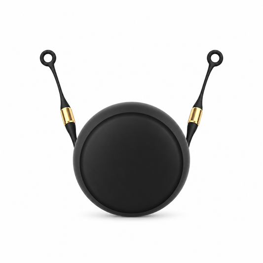 Qzear MagStay black silicone earplug cord with gold connectors and black round carrying case